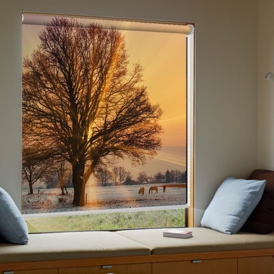 Dustproof Custom Printed Roller Shades , Elegant Internal Blockout Blinds