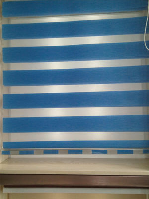 Blackout  zebra blinds
