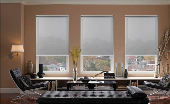 Anti UV White Roll Down Blinds , Blackout Roller Blinds Bunnings Dustproof