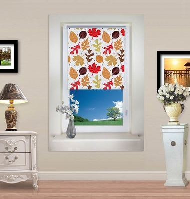 Patterned Printed Blinds For Windows Waterproof noninvasive mounting