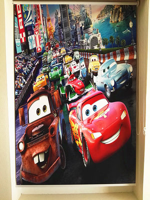 ODM 3D Printed Roller Blinds 150D*300D Printed Picture Pull rope Format