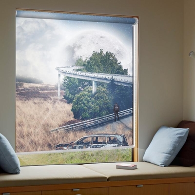 Cartoon Pattern  3d printed horizontal and industrial manual roller blind