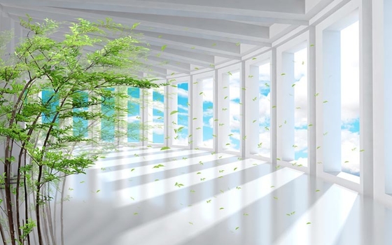PE 3D Printed Roller Blinds Waterbased Print for kitchen window 2.0m width