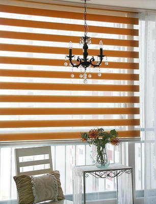 Zebra Dual Roller Blinds Horizontal Pattern For French Windows