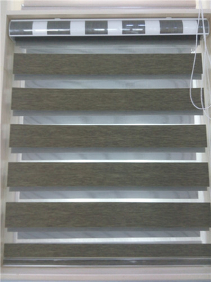 Plain Zebra Roller Shades 2 Layer Semi Blackout Heat Resistant