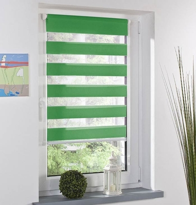 Green Zebra Day And Night Blinds Spring Loaded Airy fabric Horizontal