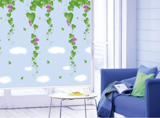 Printed roller blinds fabric