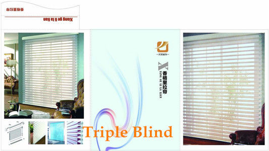 fashion day night zebra roller blind