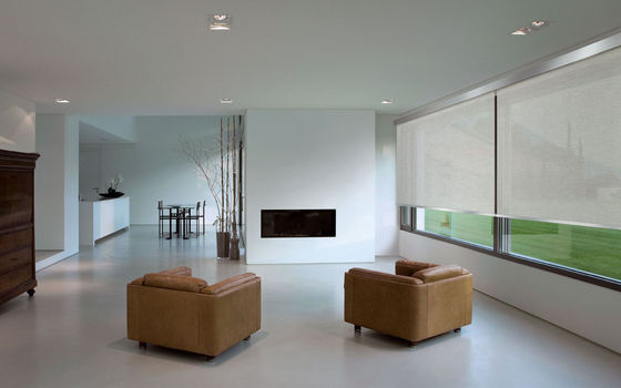 roller blinds plastic chain control spring control roller blinds very low price roller  blinds fabric,cordess roller