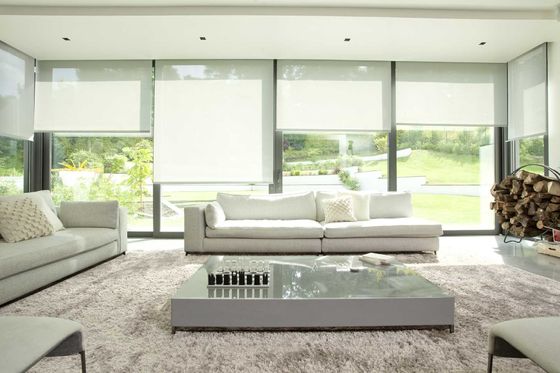 roller blinds plastic chain control spring control roller blinds low price roller  blinds fabric,cordess roller blinds