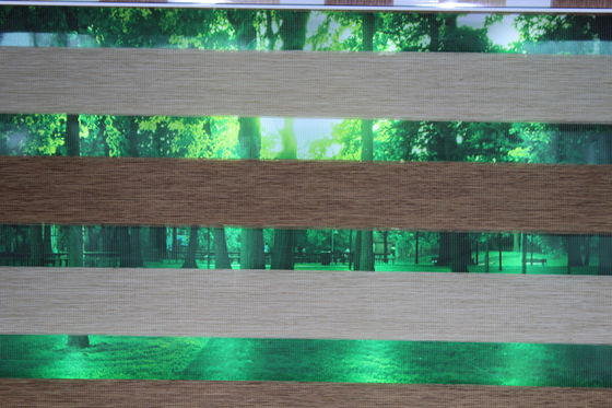 Zebra blinds fabric/Motorised zebra roller /new design zebra blinds fabric,white color zebra blinds fabric,printed zebra